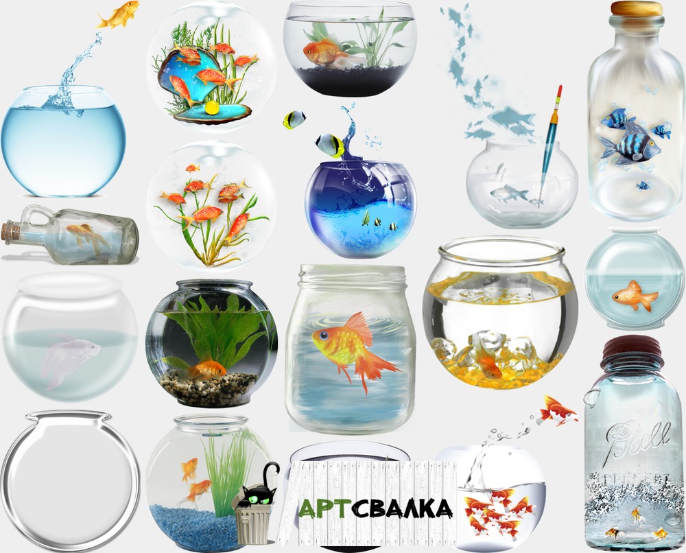 Аквариумы с рыбками на прозрачном фоне | Fish tanks on a transparent background